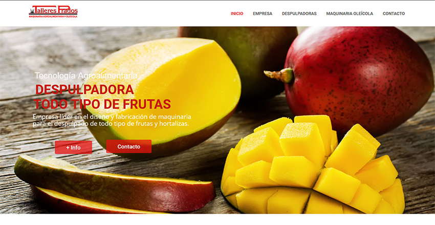 Despulpadora de Frutas